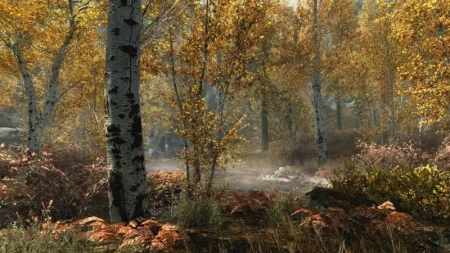 The Elder Scrolls V: Skyrim VR (PS4)