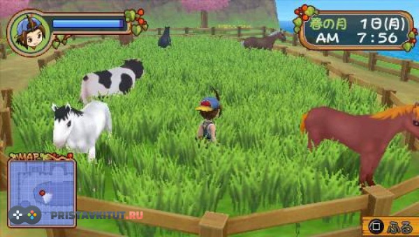 Валли (PSP) [Б/У]