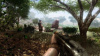 Far Cry 2 (Xbox 360) [Б/У]