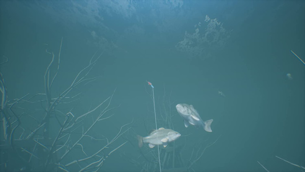 Bassmaster Fishing 2022. Deluxe Edition (Ps5)